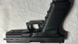 g3