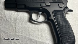 cz3